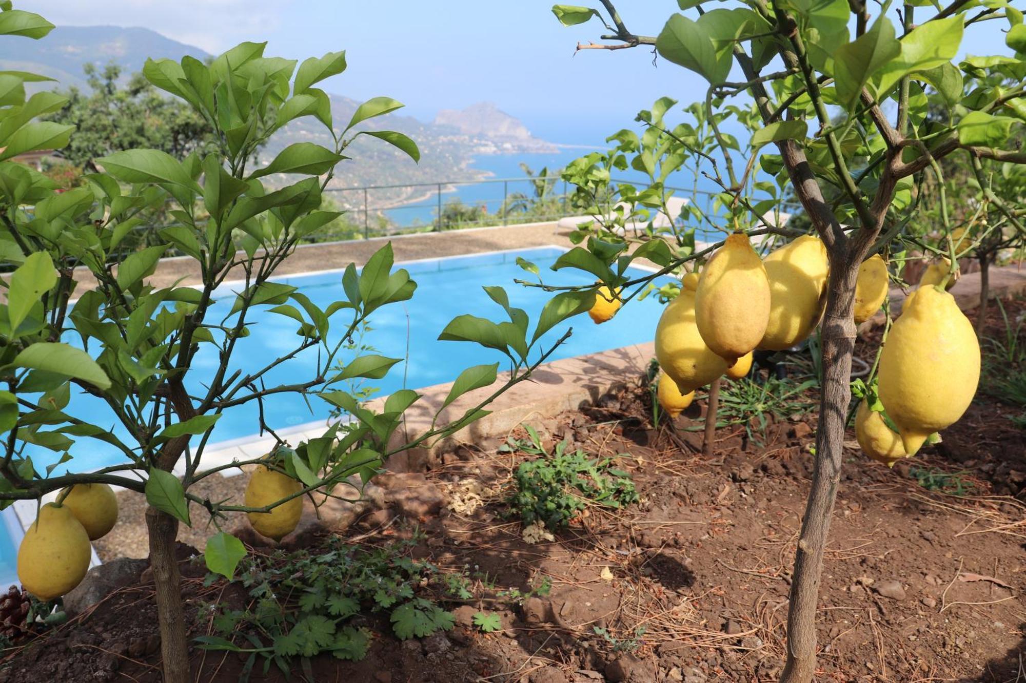 Cefalu Nest Pool House Terrace Sea View エクステリア 写真